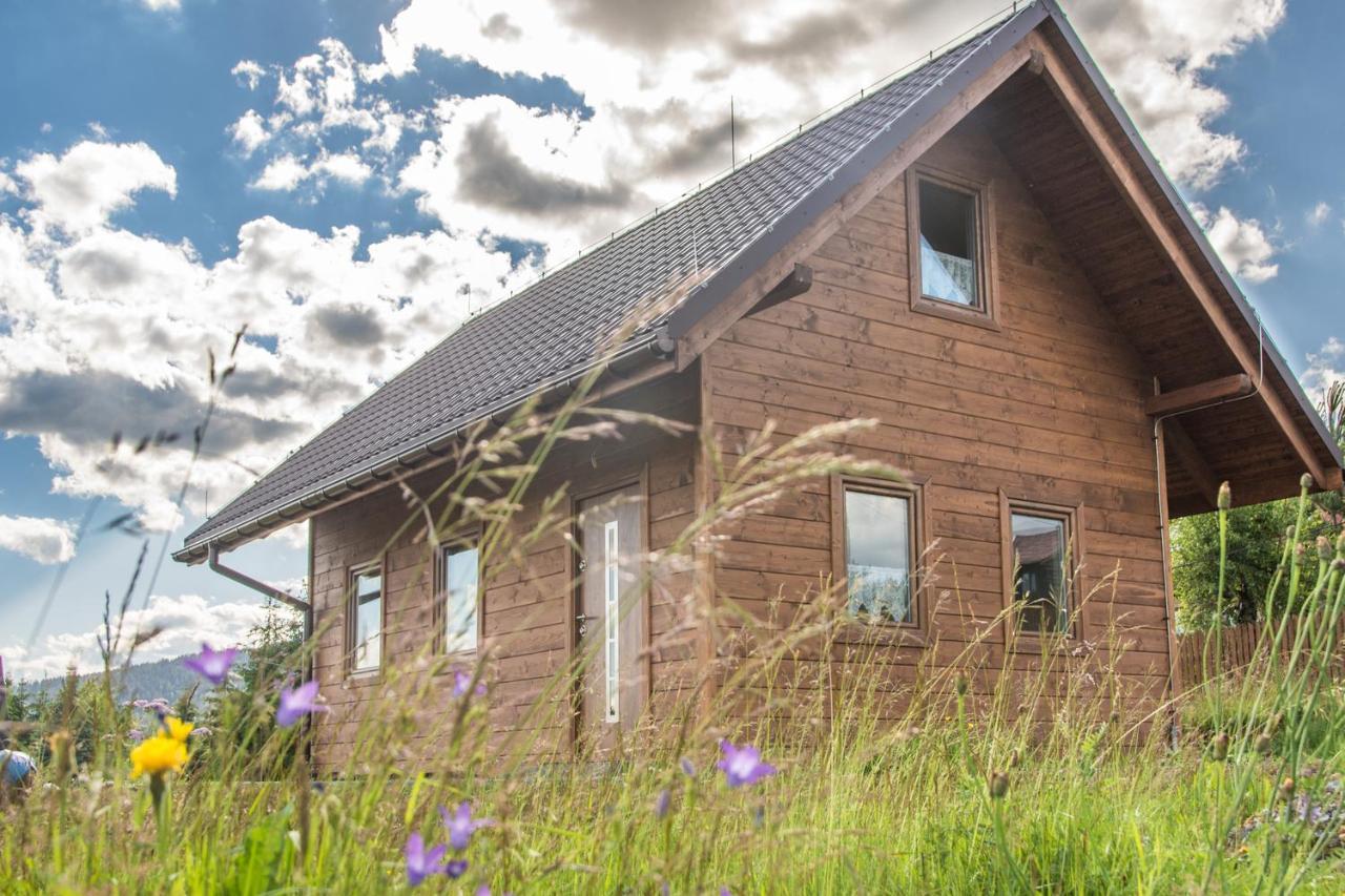 Villa U Jana I Wita Istebna Exterior foto