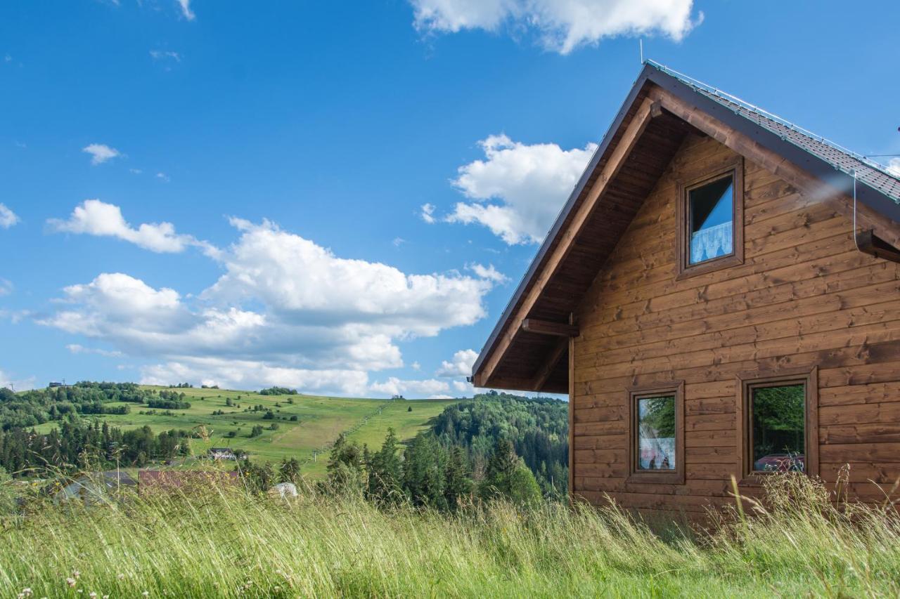 Villa U Jana I Wita Istebna Exterior foto
