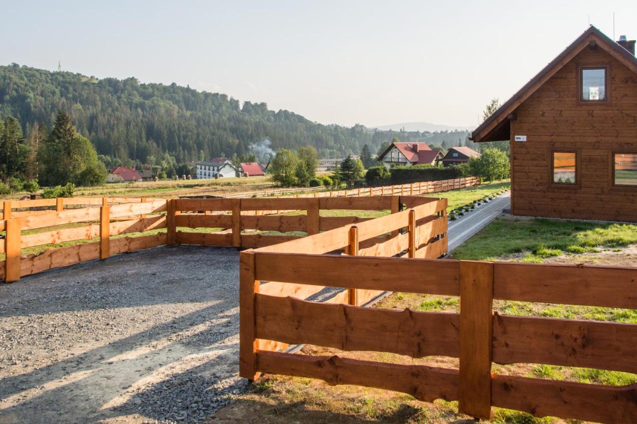 Villa U Jana I Wita Istebna Exterior foto